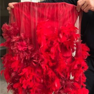 Elegant Red Strapless Dress with Feather Details